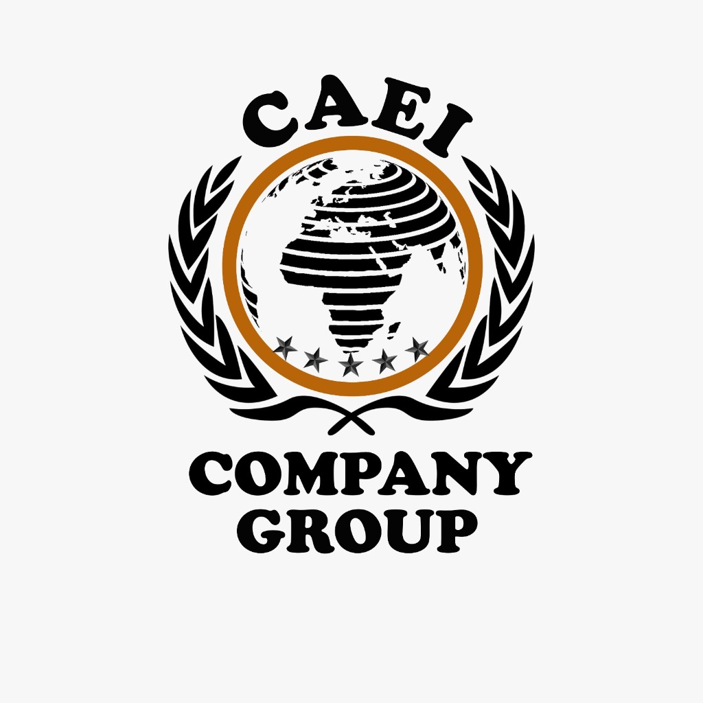 CAEI COMPANY GROUP